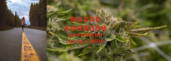 стаф Вязьма