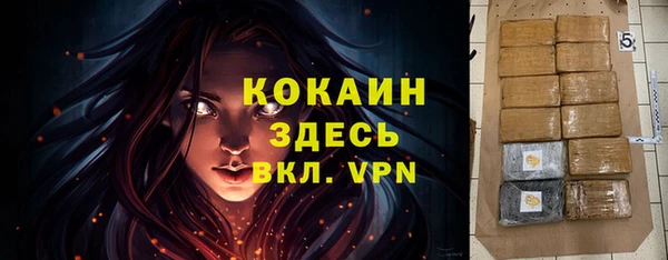 винт Вяземский