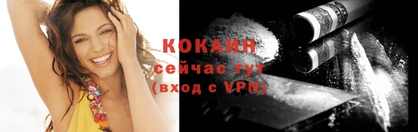 стаф Вязьма