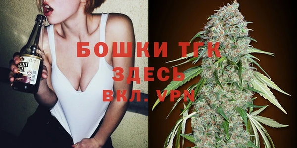 стаф Вязьма