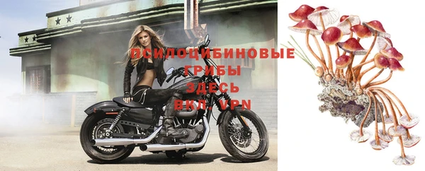таблы Вязники