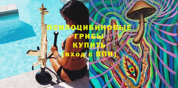 стаф Вязьма