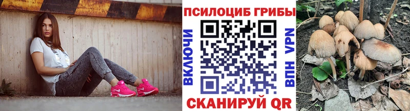 hydra зеркало Саранск Галлюциногенные грибы Cubensis